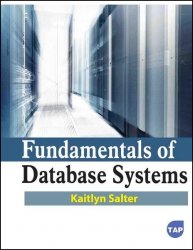 Fundamentals of Database Systems (2024)