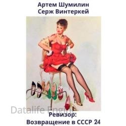 Ревизор: возвращение в СССР 24 (Аудиокнига)