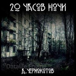 20 часов ночи (Аудиокнига)