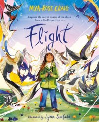 Flight: Explore the Secret Routes of the Skies From a Bird's-Eye View