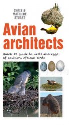 Avian Architects: Quick ID Guide to Nests and Eggs of Southern African Birds