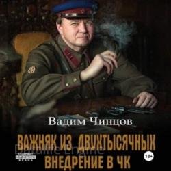 Важняк из двухтысячных. Внедрение в ЧК (Аудиокнига)