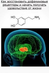 Как восстановить дофаминовые рецепторы и начать получать удовольствие от жизни (Аудиокурс)