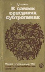 Дадыкин В.В. – В самых северных субтропиках