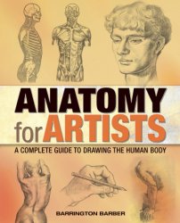 Anatomy for Artists: A Complete Guide to Drawing the Human Body, 2023 Edition